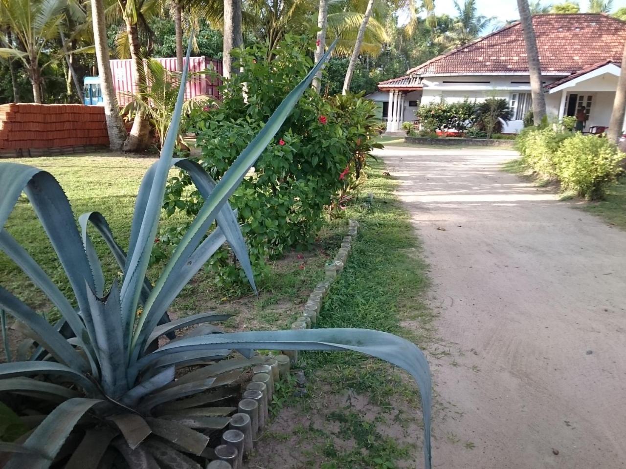 Hotel Sun And Surf Rest Ahangama Exteriér fotografie